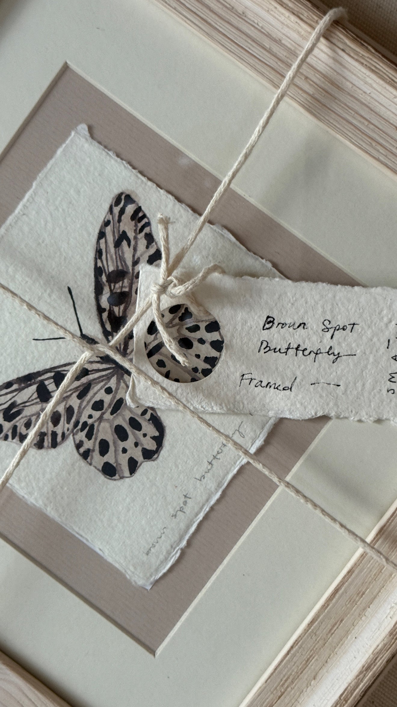 'Brown Spot Butterfly I' Framed Original Artwork
