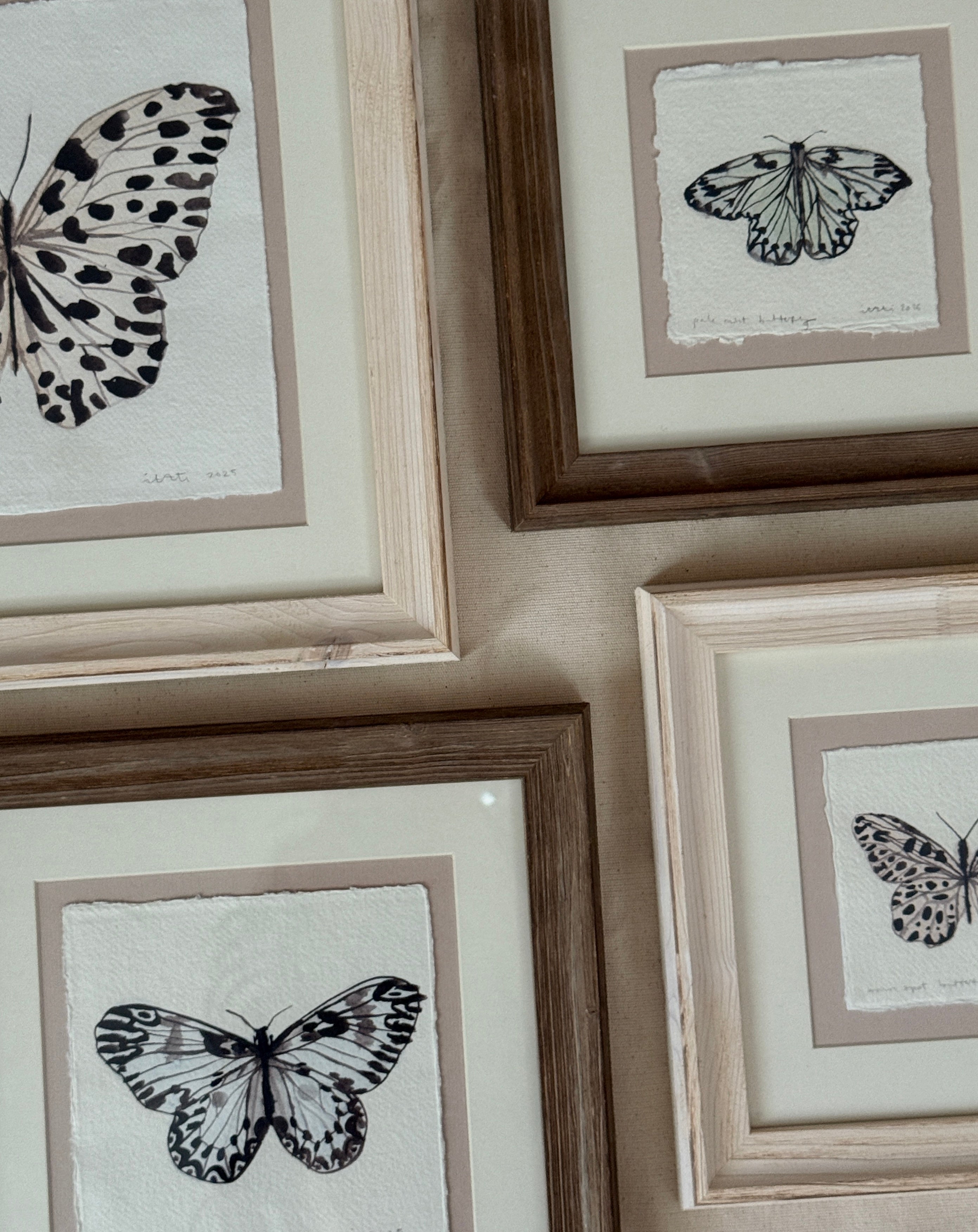 'Brown Spot Butterfly I' Framed Original Artwork