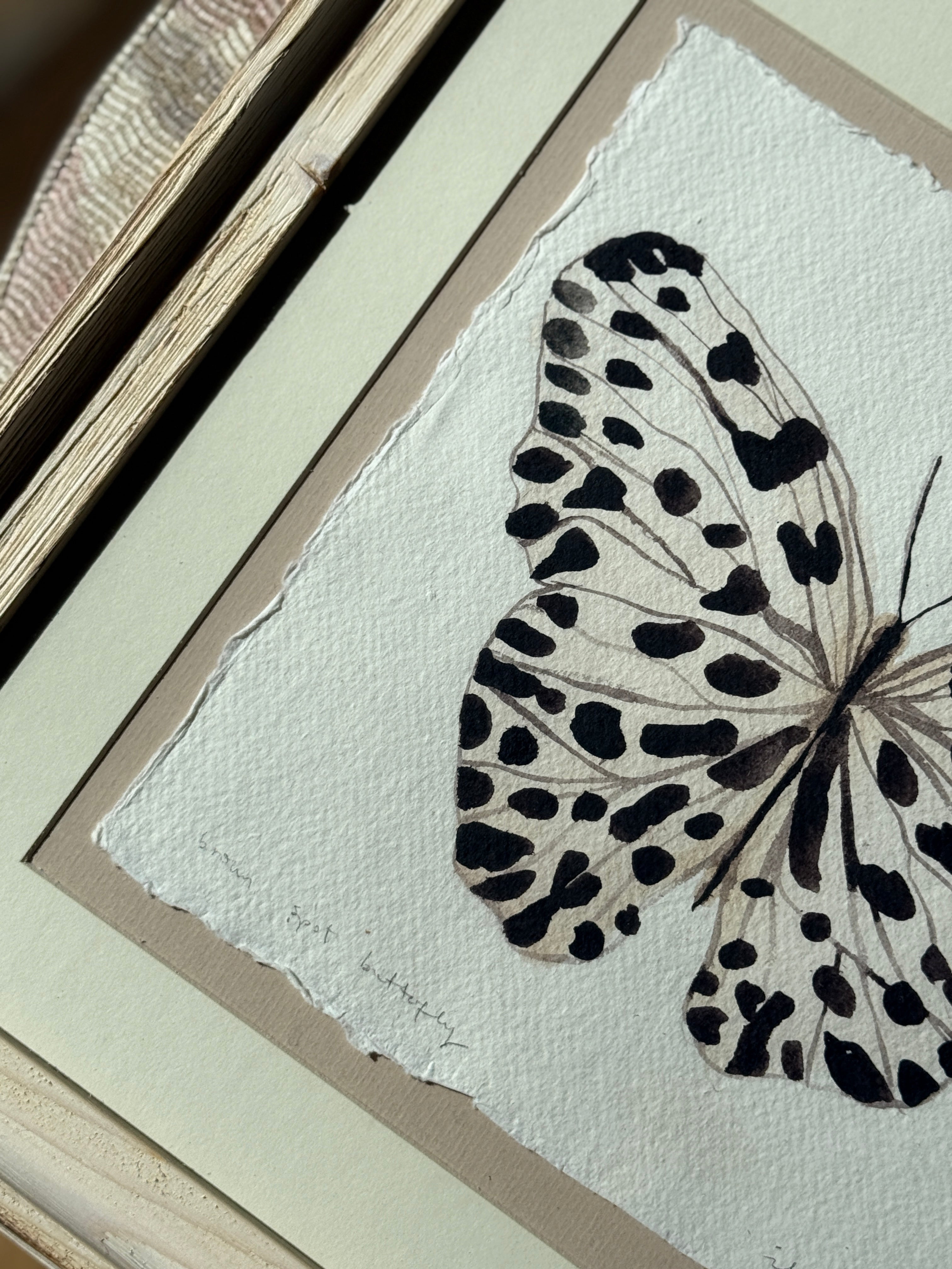 'Brown Spot Butterfly' Framed Original Artwork