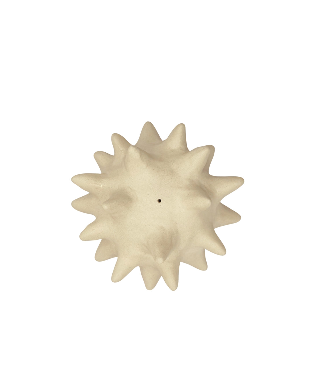 Bone Urchin Incense Holder