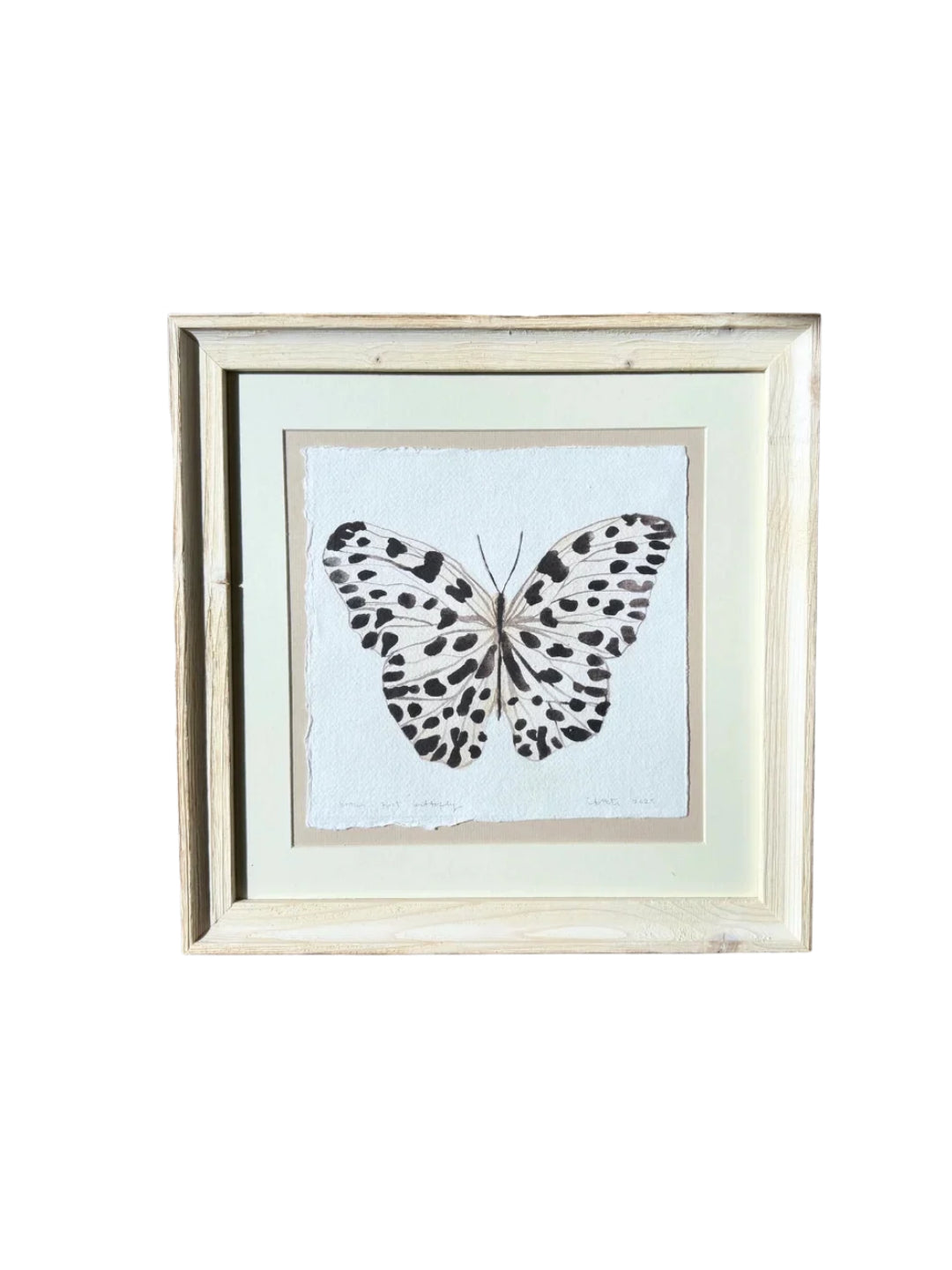 'Brown Spot Butterfly' Framed Original Artwork