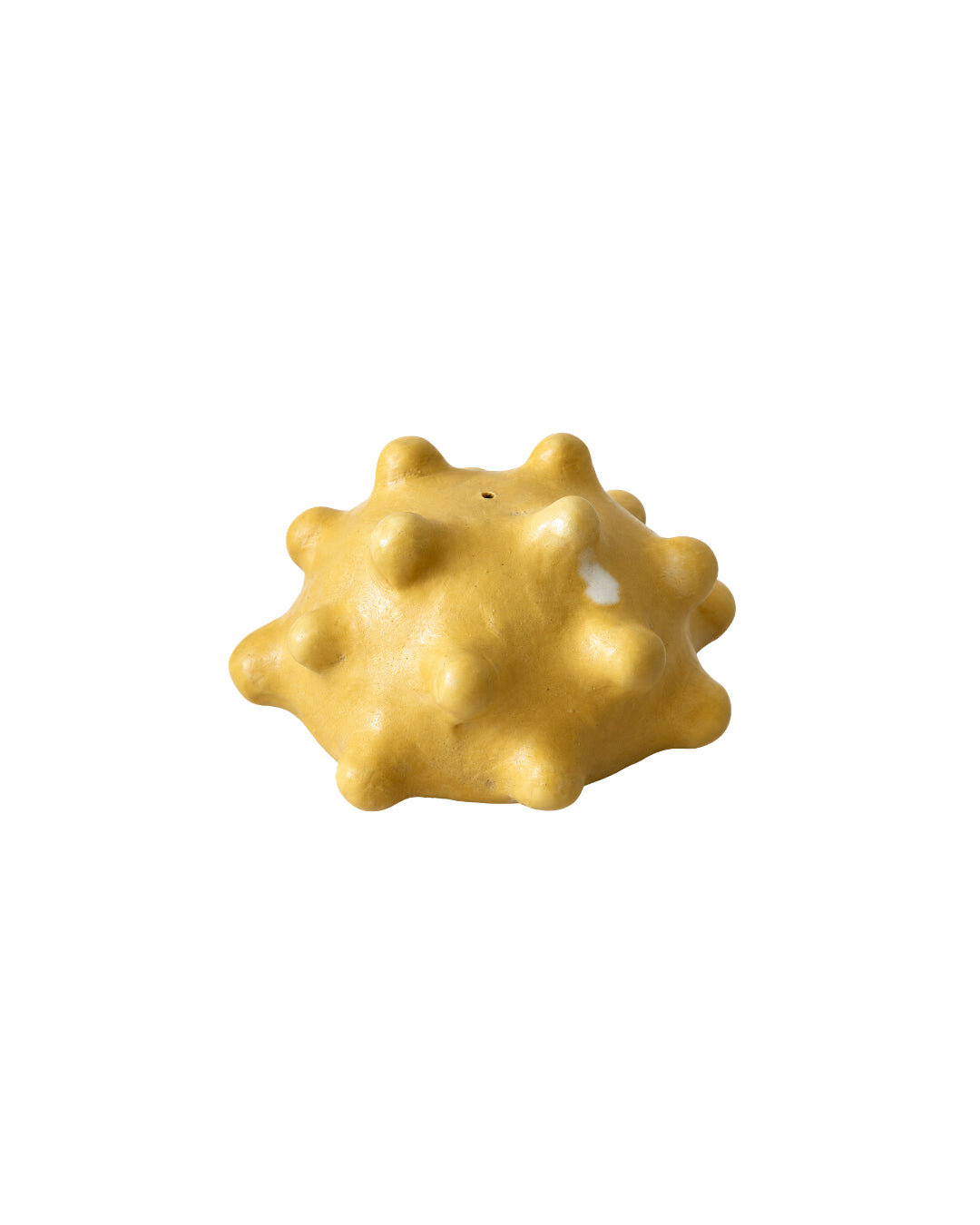 Lemon Flora Incense Holder