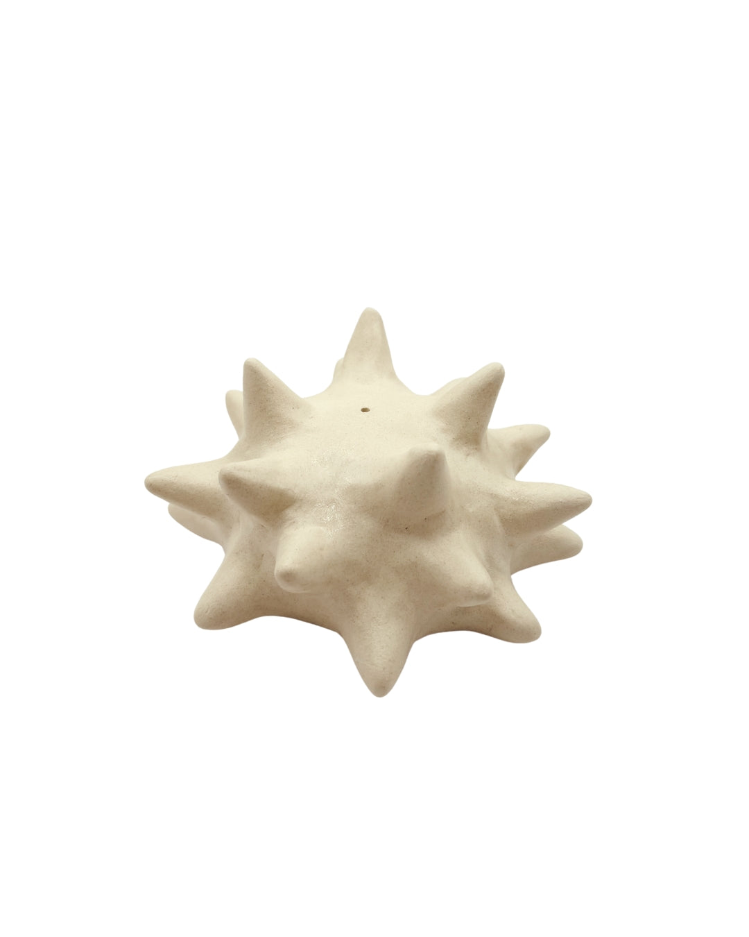 Bone Urchin Incense Holder
